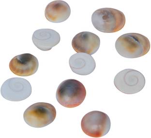 संस्कृति GOMTI CHAKRA स्टोन