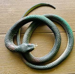 Tik C Rubber snake prank toy