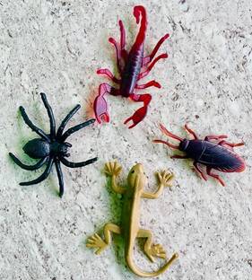 Tik C animal toys lizard,spider,scorpion and coakcroach