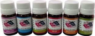 GIFDECO WHITE LOTUS, OCEAN, CINNAMON, MUSK, ORANGE BLOSSOMM, CITRONELLA Aroma Oil, Refill AO-6PCS SET2