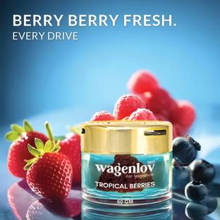 3003BC Wagenlov Tropical Berries Gel Car Perfumes Air Car Freshener Blocks Wagenlov Tropical Berries Gel Car Perfumes Air