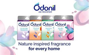 Odonil lavender,, misty rose, jasmine, orchid dew Blocks PACK OF 6
