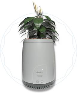 ubreathe Room Air Purifier Planter Portable Room Air Purifier