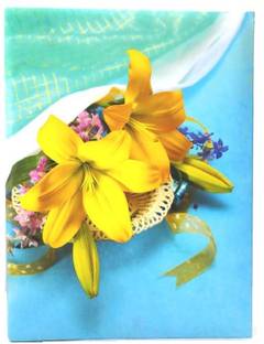 Sri Durga Collection Blue album with yellow Flower bunch_6x8Inch_40Pocket Album