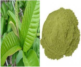 VIVETHAN Guava Leaves Powder