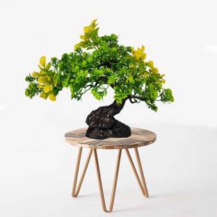 GIG BAZAAR Aquarium Plastic Artificial Plant Green Leaves Tree for Fish Tank Ornaments Laterite Unplanted Substrate