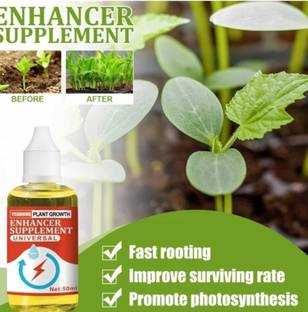 Slate Plant Growth Enhancer Supplement - Root Enhancer for Plant Aquarium Plant Anchor