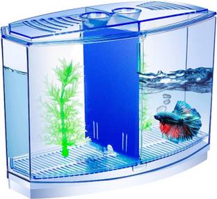 Animaux Betta Tank Small Fish Tank for Fighter Fish Aquarium Plant Anchor