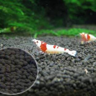 Bunnycart Aqua Soil Planted Substrate