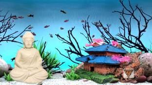 GIG BAZAAR Aquarium Monk House & Buddha Statue Ornament for Aquarium Decoration Laterite Planted Substrate