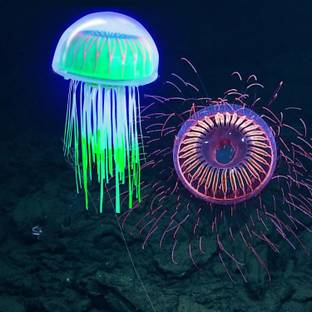 Jainsons Pet Products 5.5 Inch Fluorescent Jellyfish for Aquarium with Glowing Green color Effect Crushed Coral Unplanted Substrate
