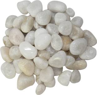 Dcenterprises Marble Unplanted Substrate