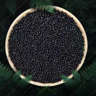 Animaux Planted Aquarium Substrate Black Soil 1KG Aqua Soil Planted Substrate