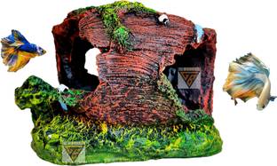 GIG BAZAAR Wooden Tree Hidden Space for Small Fish Hideawa for Aquarium Ornaments Laterite Unplanted Substrate
