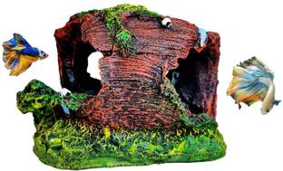 Gaurvi Enterprises Hollow Wooden Tree Hidden Space Ornaments for Aquarium Decoration Toy Aragonite Unplanted Substrate