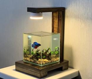 TPH Tank with lamp Rectangle Aquarium Tank