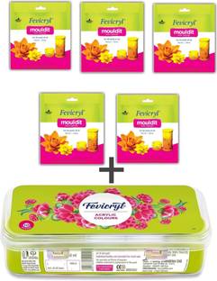Pidilite Fevicryl Mouldit clay ( Pack of 5 ) and Acrylic Sunflower Kit 10 Shade Art Clay