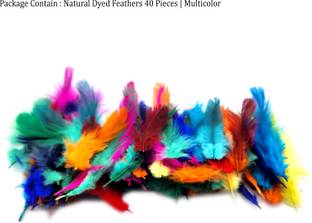 Crafts Haveli Natural Dyed Feathers 40 Pieces (Multicolor)