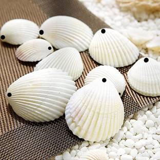 Adhvik (Pack of 200 Gram) White Sea Shells Sippi Suitable for Aquarium Fish Tank