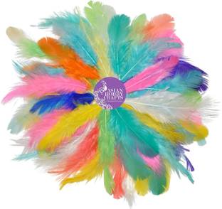 ASIAN HOBBY CRAFTS Natural Dyed Feathers 50 Pieces, Multi