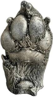 Mold Your Memories Dog or Cat Paw Casting kit.