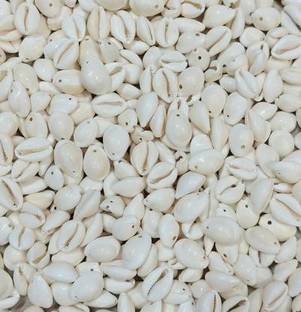 Zilzon Natural White Cowrie Shell Bead for Jewellery Making and Beading Pack of 100Pcs