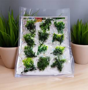 Dhinchak Artificial Mini Plastic Tree for Project Making and Decoration (12 Pieces)