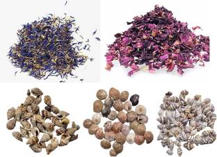 MOREL NATURAL DRIED FLOWER IN CORN & ROSE WITH SHELL FOR MAKING MANY KIND OF RESIN ART