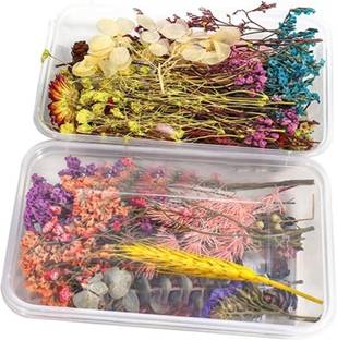 KRYTONE Natural Real Dried Flowers for Art Craft Mixed Soap,Candle,Scrapbook,DIY (2 Box)