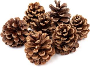 JOYNAGAR Decorative Ornaments- Natural Pine Cones for Christmas & Home Decor(20 pcs) Brown Daisy Artificial Flower