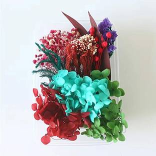 IKALAA Preserved Dried Flowers|Resin Art |Nail Art | Jewelry (Multicolor) Multicolor Hydrangea, Dried Sticks, Eucalyptus, Wild Flower Artificial Flower