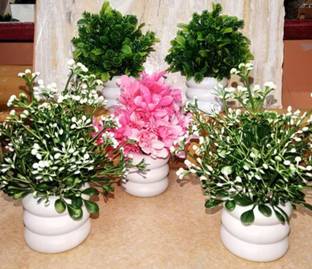 Jaymaa Collection Pink, Green, White Wild Flower Artificial Flower  with Pot