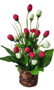 BAARIG Multi Goli with Stylish Coconut Brown Pot Pink, White Rose Artificial Flower  with Pot