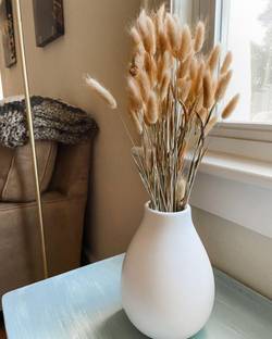 Homesake Bunny Tails Dried plant Pampas Grass Bouquet Table Decor Wedding Party Home30pcs Brown Dried Sticks Artificial Flower