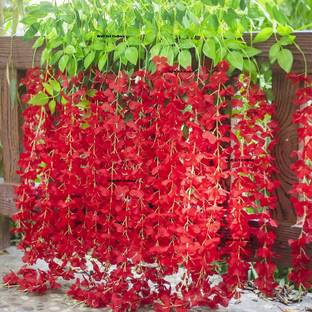 well art gallery Artificial Silk Wisteria Home Wedding Ceremony Events Backdrop Floral Décor Red Westeria Artificial Flower
