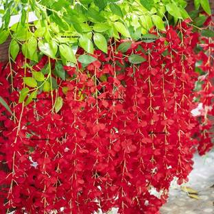 zoanto Red Westeria Artificial Flower