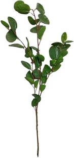 Paperi Paperi Artificial Leaf, Eucalyptus - Green Green Eucalyptus Artificial Flower  with Pot