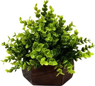 fancymart Artificial Green Leaves Plant Green, Clear Wild Flower Artificial Flower  with Pot