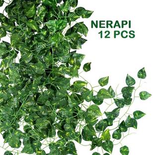 NERAPI 12 Pcs Green Hanging Money Plant | Natural Looking & Perfect Decorative Piece | Green Wild Flower Artificial Flower