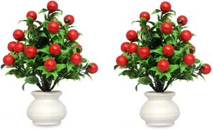 Saikara Collection Red, Green Wild Flower Artificial Flower  with Pot