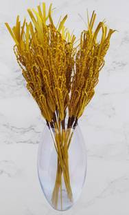 fab n Style Dried Palm Chain Stick for Flower Vase Filler Yellow Dried Sticks, Dried Twigs, Orchids Artificial Flower