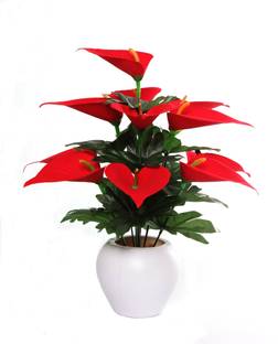 Wild Flower Anthurium Banch with Pot Red Anthurium Artificial Flower  with Pot