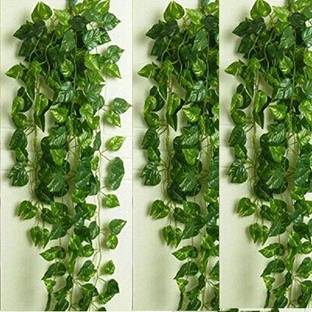 S-Biv Pack of 03 Money Plants Bail For decoration Home Shop and office Green Ballmum Artificial Flower