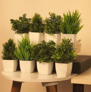 Jaymaa Collection Green Wild Flower Artificial Flower  with Pot