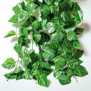 Yumun Artificial Money Plant Vine For|Home|Wall|Garden|Decoration Green Anthurium Artificial Flower