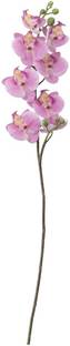 Paperi Artificial Fake Orchid Flower Red Pink Orchids Artificial Flower