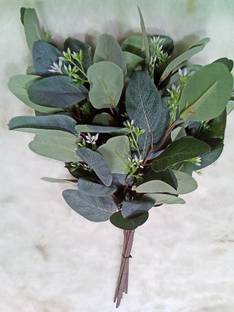 Eikaebana Flower Shop 2 Pieces of Artificial Brown Eucalyptus Leaves Bunch for Decoration (7 Sticks) Green Eucalyptus Artificial Flower