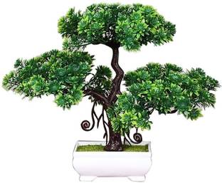 Devnidhi agri products Artificial Flower for Indoor, Office And Home Decor Green Wild Flower Artificial Flower  with Pot