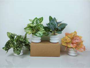 Jaymaa Collection Small Size Pack Of 4 Bonsai Wild Artificial Plant with Pot (16 cm, Multicolor) Multicolor Wild Flower Artificial Flower  with Pot