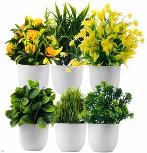 Ryme Mini/Small Pack of 6 Bonsai Wild Artificial Plant  with Pot